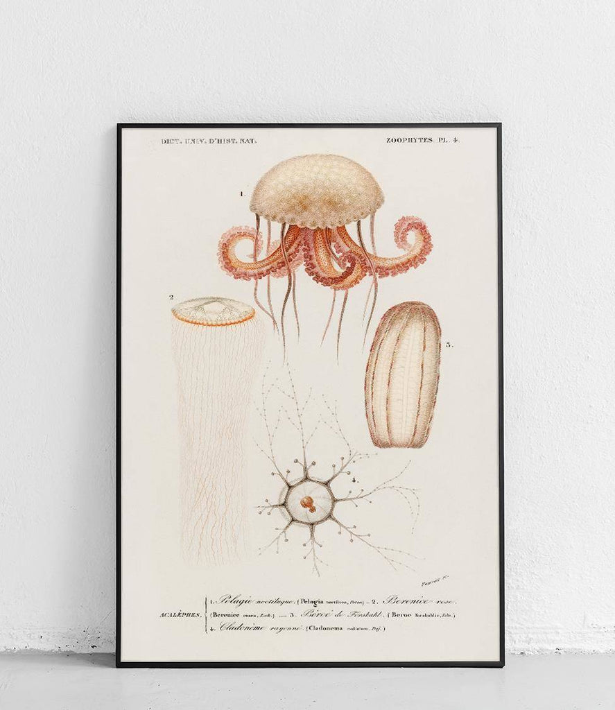 Glowing jellyfish - poster