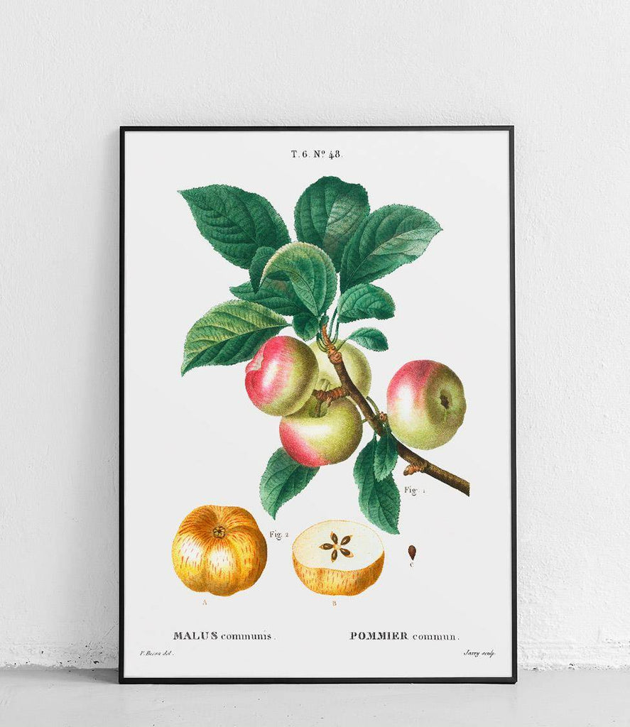 Apple tree - poster