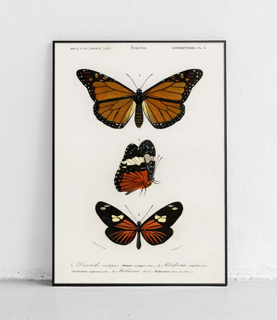 Butterflies 2 - poster
